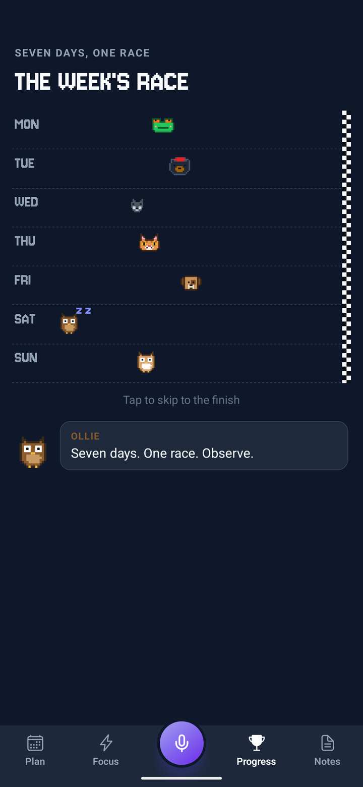 The week’s race